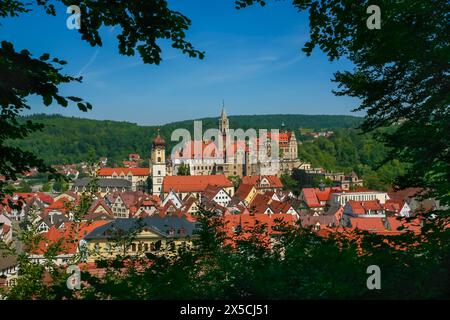 Castello di Hohenzollern Sigmaringen, ex residenza principesca e sede amministrativa dei principi di Hohenzollern-Sigmaringen, castello cittadino Foto Stock