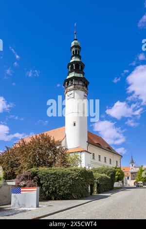 Chodsky hrad, Domazlice, Ceska republika / castello, città Domazlice, repubblica Ceca Foto Stock