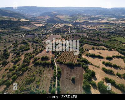 Vista aerea del paesaggio agricolo nella valle di Ezousa, Amargiti, regione di Paphos, Cipro Foto Stock