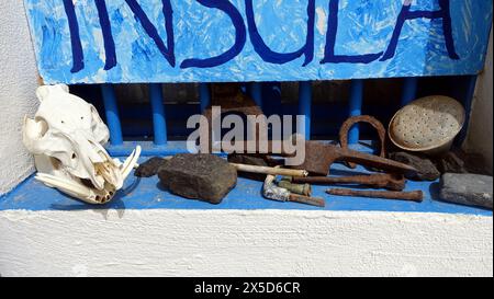 Asinara, Italia. 11 agosto 2021. Un teschio di cinghiale e alcuni strumenti antichi su una finestra del museo della prigione sulla collina dell'isola. Foto Stock