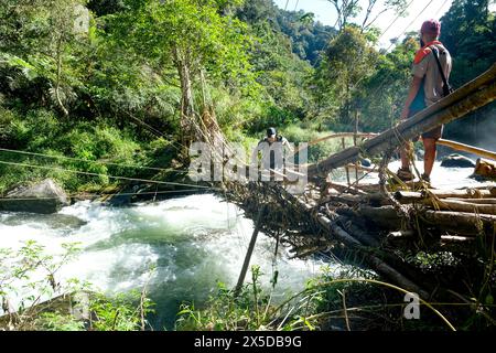 Escursionisti che attraversano un ponte di legno sulla pista di Kokoda, Papua nuova Guinea Foto Stock