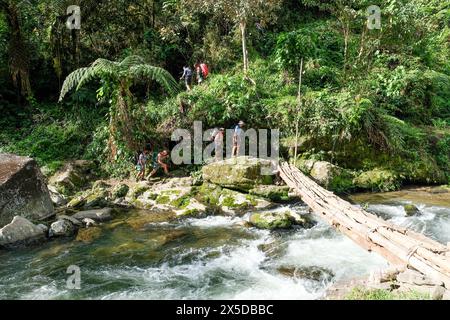 Escursionisti che attraversano un ponte di legno sulla pista di Kokoda, Papua nuova Guinea Foto Stock