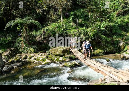 Escursionisti che attraversano un ponte di legno sulla pista di Kokoda, Papua nuova Guinea Foto Stock