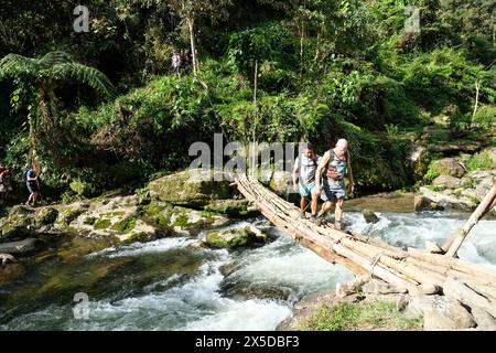 Escursionisti che attraversano un ponte di legno sulla pista di Kokoda, Papua nuova Guinea Foto Stock