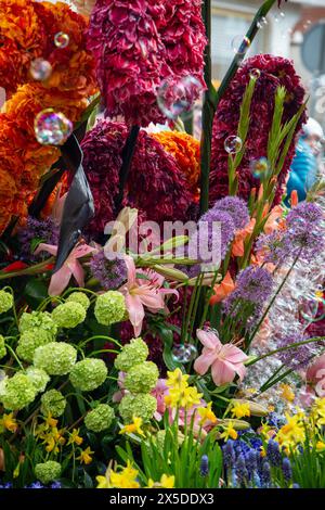 Bloemencorso Haarlem 2024. Il Bloemencorso del Bollenstreek è il più grande festival primaverile dei Paesi Bassi. Foto Stock