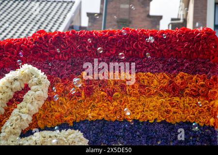 Bloemencorso Haarlem 2024. Il Bloemencorso del Bollenstreek è il più grande festival primaverile dei Paesi Bassi. Foto Stock
