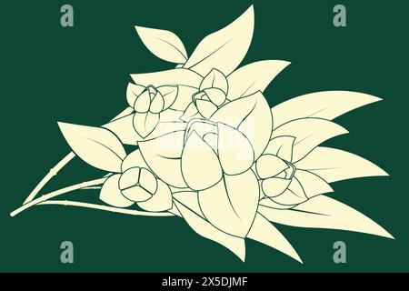 Elemento illustrazione vettoriale. Design floreale Romdol Illustrazione Vettoriale