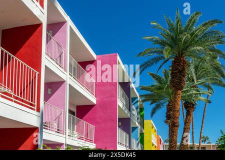 Hotel Saguaro, palme e architettura colorata a Palm Springs, California Foto Stock