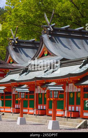 Giappone, Shingu, Kumano Hayatama Taisha, santuario shintoista, Foto Stock