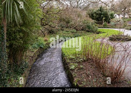 Un piccolo torrente che scorre attraverso i Trenance Gardens a Newquay in Cornovaglia nel Regno Unito. Foto Stock