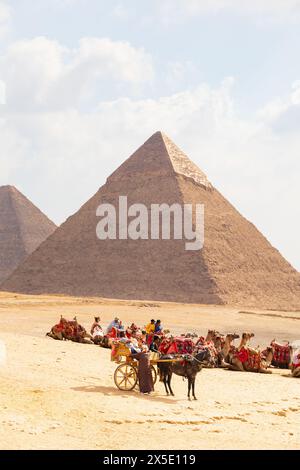 Il parco dei cammelli ti aspetta per le giostre turistiche con le piramidi di Khafre e Khufu alle spalle. Le grandi Piramidi di Giza, il Cairo, l'Egitto. Foto Stock