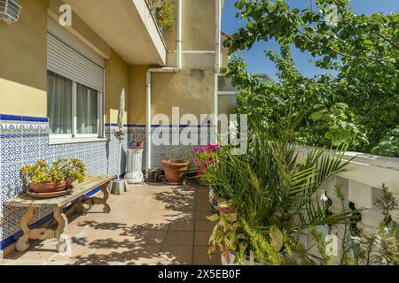 Terrazza con molte piante di una casa indipendente con balaustra di cemento bianco Foto Stock