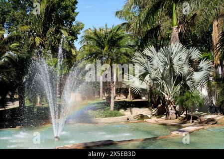 Giardino botanico a Torremolinos, Spagna meridionale. Foto Stock