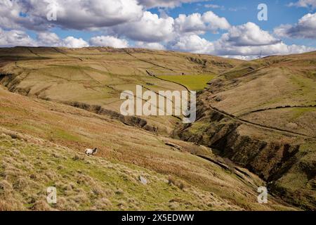 All'inizio della primavera nei West Pennines Foto Stock