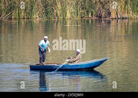 Gli egiziani locali pescano sul fiume Nilo in Egitto. Vengono utilizzate piccole imbarcazioni a remi da cui vengono gettate le reti e poi rimesse a punto. Foto Stock