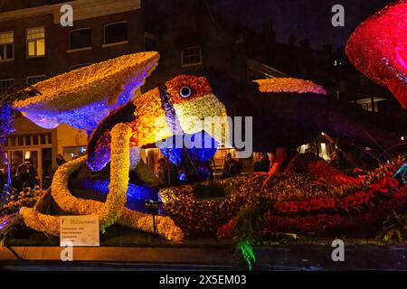 Bloemencorso Haarlem 2024. Il Bloemencorso del Bollenstreek è il più grande festival primaverile dei Paesi Bassi. Foto Stock