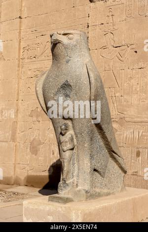 Il secondo tempio più grande dell'Egitto, Edfu fu fu iniziato durante il regno di Tolomeo III nel 237 a.C.. Il falco era a capo di Dio Horus. Foto Stock