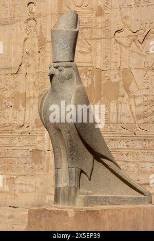 La statua di Horus nell'antico tempio tolemaico di Horus a Edfu in Egitto, Africa. Foto Stock