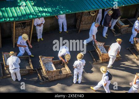 Madeira, Funchal. Carreiros do Monte. Attrazione turistica le slitte di Monte realizzate in vimini motorizzate da autisti chiamati "Carreiros" in bianco con barche a paglia Foto Stock