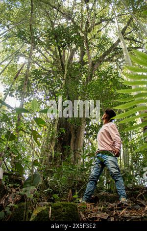Un giovane latino cammina lungo una strada forestale di montagna Foto Stock