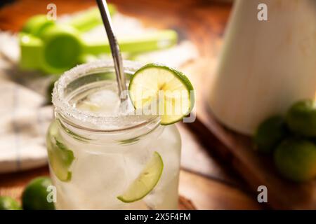 Limonata fatta in casa con limoni biologici e menta, una bevanda rinfrescante popolare in molti paesi. In Messico fa parte delle loro tradizionali fresche Aguas, Foto Stock