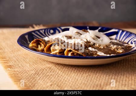 Enmoladas di pollo. Conosciuti anche come mole poblano enchiladas, sono un tipico piatto messicano che è molto popolare in Messico e nel resto del mondo. Foto Stock