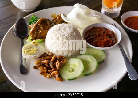 Primo piano del cibo malese nasi lemak Foto Stock