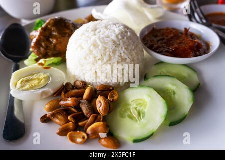 Primo piano del cibo malese nasi lemak Foto Stock