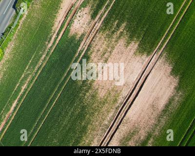 Vista aerea delle colture agricole danneggiate dall'acqua nell'Herefordshire UK - questo campo è stato sott'acqua per gran parte dell'inverno (2023) e della primavera (2024) Foto Stock