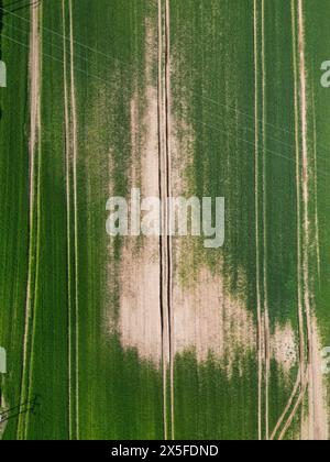 Vista aerea delle colture agricole danneggiate dall'acqua nell'Herefordshire UK - questo campo è stato sott'acqua per gran parte dell'inverno (2023) e della primavera (2024) Foto Stock