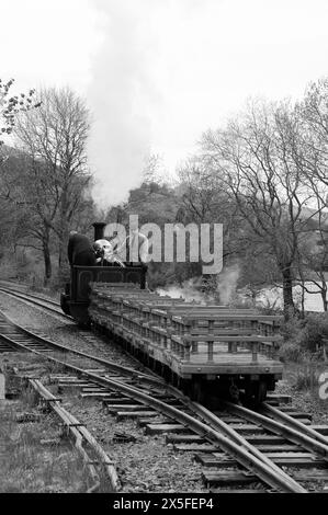 'Winifred' che inverte il treno lontano dalla stazione di Llangower. Foto Stock