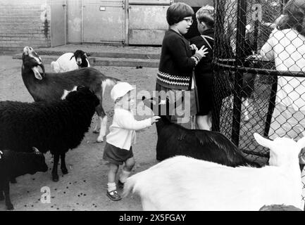 Zoo di Londra negli anni '1960 Bambini in uno zoo con capre. Giovane ragazzo in abito anni sessanta Foto Stock