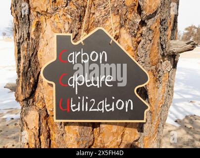 CCU Carbon Capture parole concettuali CCU Carbon Capture Utilization on Beautiful Blackboard Beautiful Tree background Business Ecologic Foto Stock