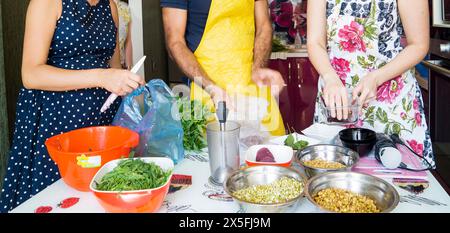 Gruppo di giovani amici che preparano pasti vegetariani insieme in cucina Foto Stock