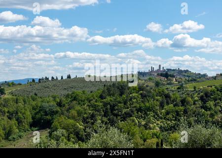 Una classica e lontana vista della storica città medievale di San Gimignano in Toscana, Italia, con le famose torri visibili sopra i verdi alberi. Foto Stock
