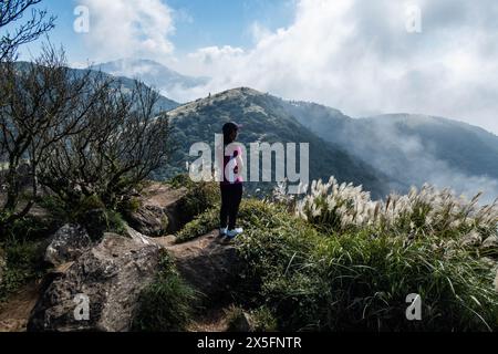 Trekking attraverso l'erba argentata cinese nel Parco Nazionale di Yangmingshan, Taipei, Taiwan Foto Stock