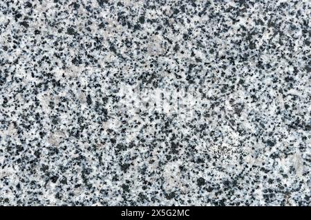 Superficie in pietra di quarzo bianco e nero. Primo piano di una superficie in pietra artificiale composta da trucioli di quarzo e marmo per uso di fondo o di progettazione. Foto Stock