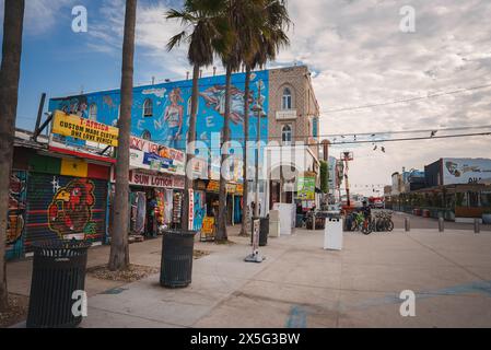 Vivace scena di strada con graffiti e palme a Venice Beach, Los Angeles. Foto Stock