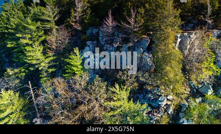 Fotografia aerea di East Bluff, Devils Lake State Park, vicino a Baraboo, Sauk County, Wisconsin, Stati Uniti. Foto Stock