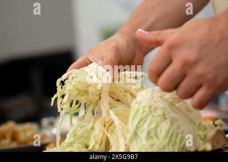 Persona che strappa manualmente il cavolo bianco per una ricetta fatta in casa. Persona che strappa manualmente il cavolo bianco per una ricetta fatta in casa. Foto Stock