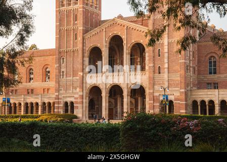 UCLA Bruin Bear all'Università della California, Los Angeles, campus. Foto Stock