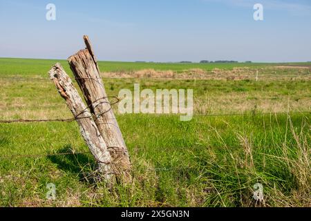 Un palo di recinzione si trova in un campo con una recinzione metallica intorno ad esso. Il palo si appoggia su un lato e presenta alcune macchie di ruggine. Il campo è per lo più verde W Foto Stock