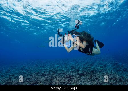 Un fotografo subacqueo (MR) prende di mira gli squali della barriera corallina al largo dell'isola di Yap, Micronesia. Foto Stock