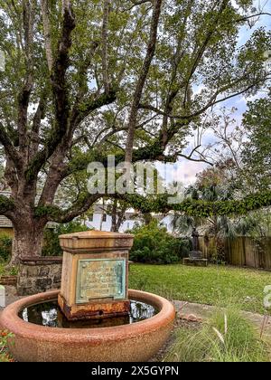 Storica fontana con giardino con una targa del 1905 sotto un grande albero di espansione a St. Augustine, Florida Foto Stock