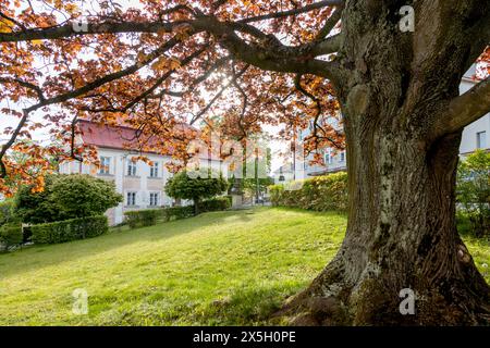 Muzeum Jindřicha Šimona Baara, Klenčí pod Čerchovem, Chodsko, Česká republika / J.S. Baar Museum, Klenci pod Cerchovem, regione di Pilsen, repubblica Ceca Foto Stock