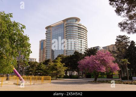 Baku. Azerbaigian. 04.26.2021. Albero in fiore con fiori di lilla sul viale. Foto Stock