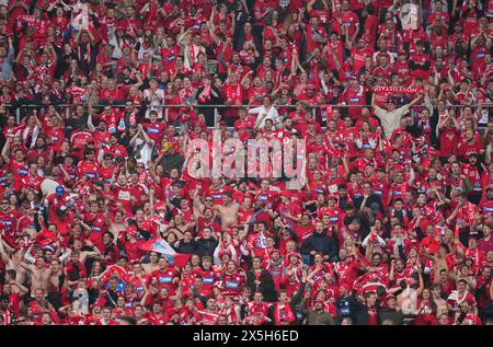 Parken, Copenaghen, Danimarca. 9 maggio 2024. Tifosi del Silkeborg durante la finale di Coppa di Danimarca, Aarhus GF vs Silkeborg, a Parken, Copenaghen, Danimarca. Ulrik Pedersen/CSM/Alamy Live News Foto Stock