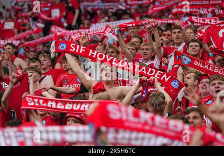 Parken, Copenaghen, Danimarca. 9 maggio 2024. Tifosi del Silkeborg durante la finale di Coppa di Danimarca, Aarhus GF vs Silkeborg, a Parken, Copenaghen, Danimarca. Ulrik Pedersen/CSM/Alamy Live News Foto Stock