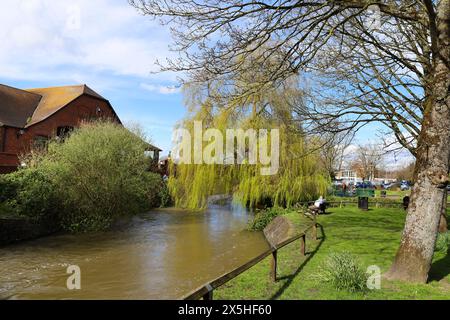 Salisbury, Inghilterra - 29 marzo 2024: Splendido parco nella città di Salisbury e sul fiume Avon Foto Stock