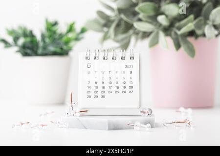 Calendario con spille sulla scrivania bianca con pianta in pentole Foto Stock